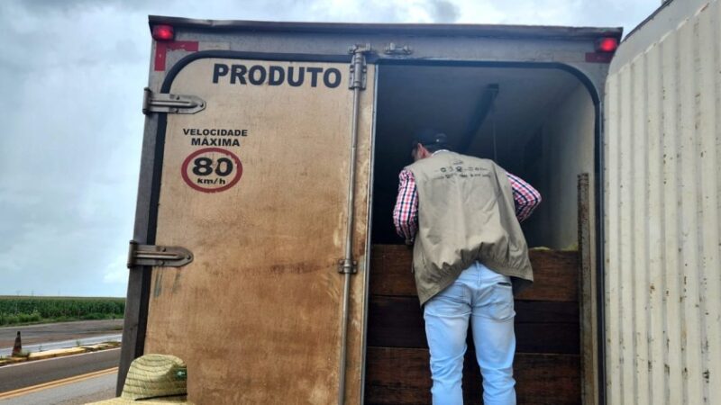 Indea intensifica fiscalização do transporte de pescado em rodovias estaduais
