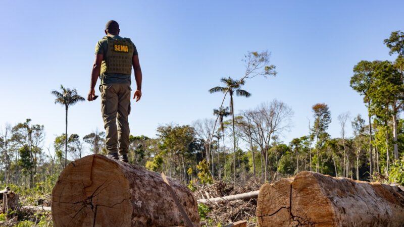 Período proibitivo para exploração do manejo florestal sustentável encerra na próxima segunda-feira (01)