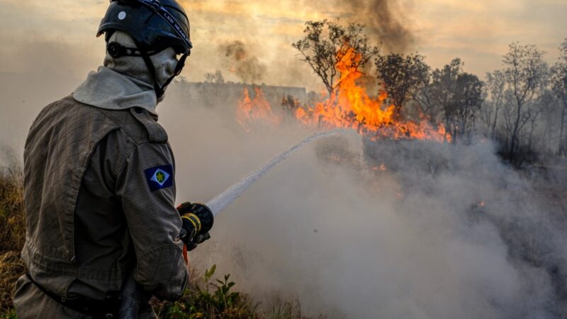 Governo de MT e AMM assinam protocolo inédito para intensificar ações de combate aos incêndios florestais nesta quinta-feira (25)