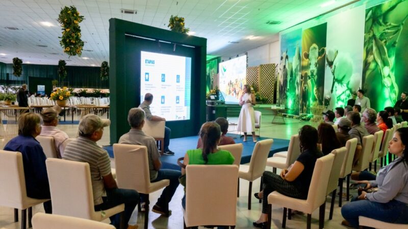 Primeira etapa de programa da Sema irá recuperar 212 hectares de áreas de conservação e parques