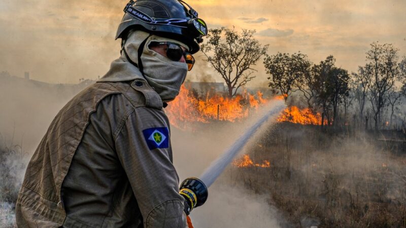 Governo de MT estabelece período proibitivo de uso do fogo com prazos ampliados e diferentes para Amazônia, Cerrado e Pantanal