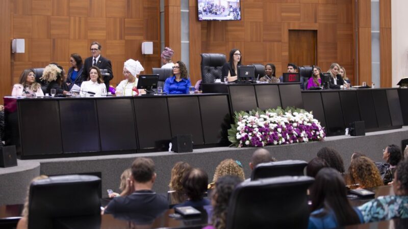 Orçamento e políticas públicas para mulheres são debatidos em audiência na ALMT