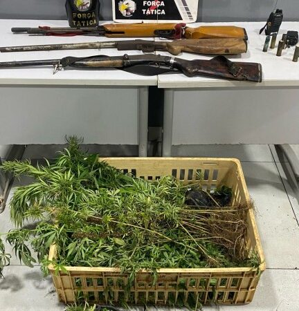 Polícia Militar prende dupla, apreende armas, munições e diversos pés de maconha escondidos em caixas
