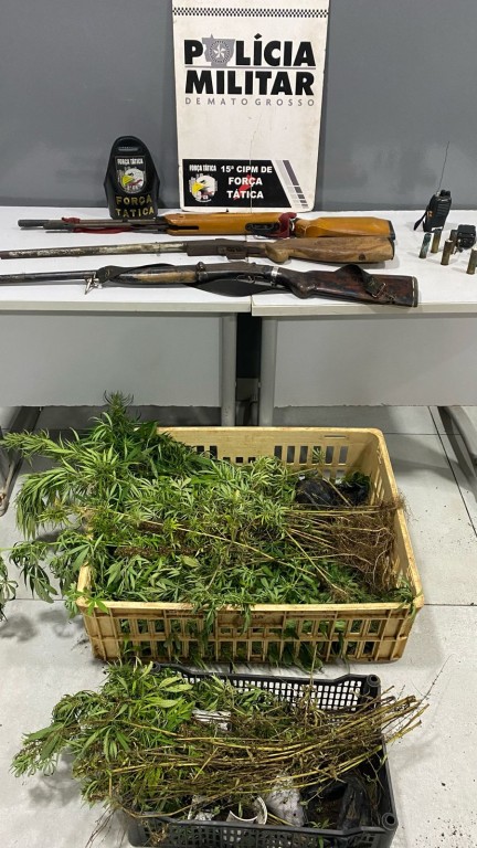 Polícia Militar prende dupla, apreende armas, munições e diversos pés de maconha escondidos em caixas