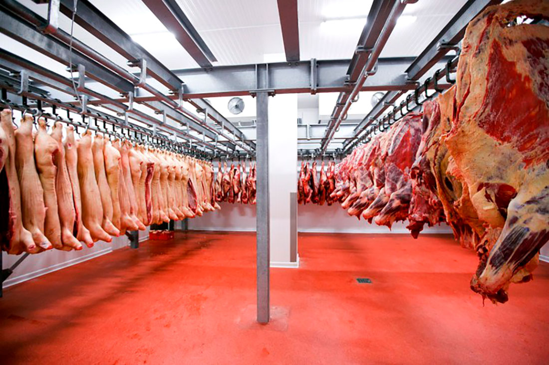 Abate de bovinos em Mato Grosso tem novo recorde