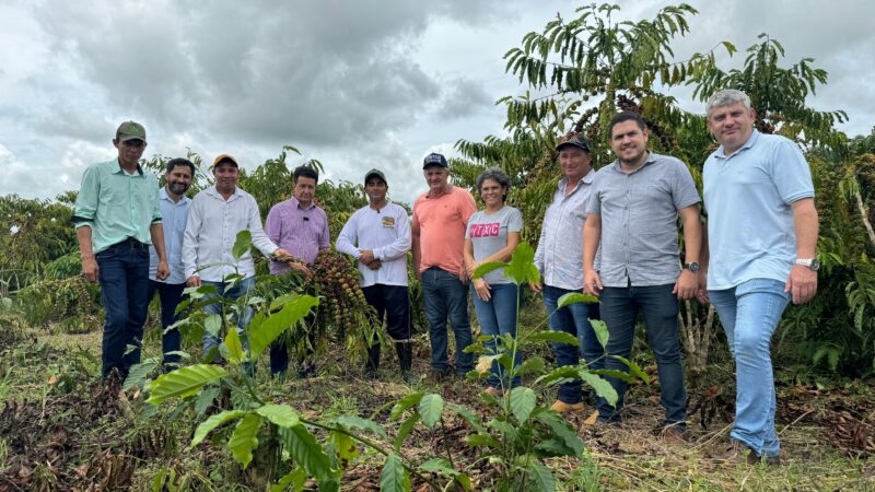 Acafemat entra com tecnologia e desenvolvimento para impulsionar a cadeia do café em Mato Grosso