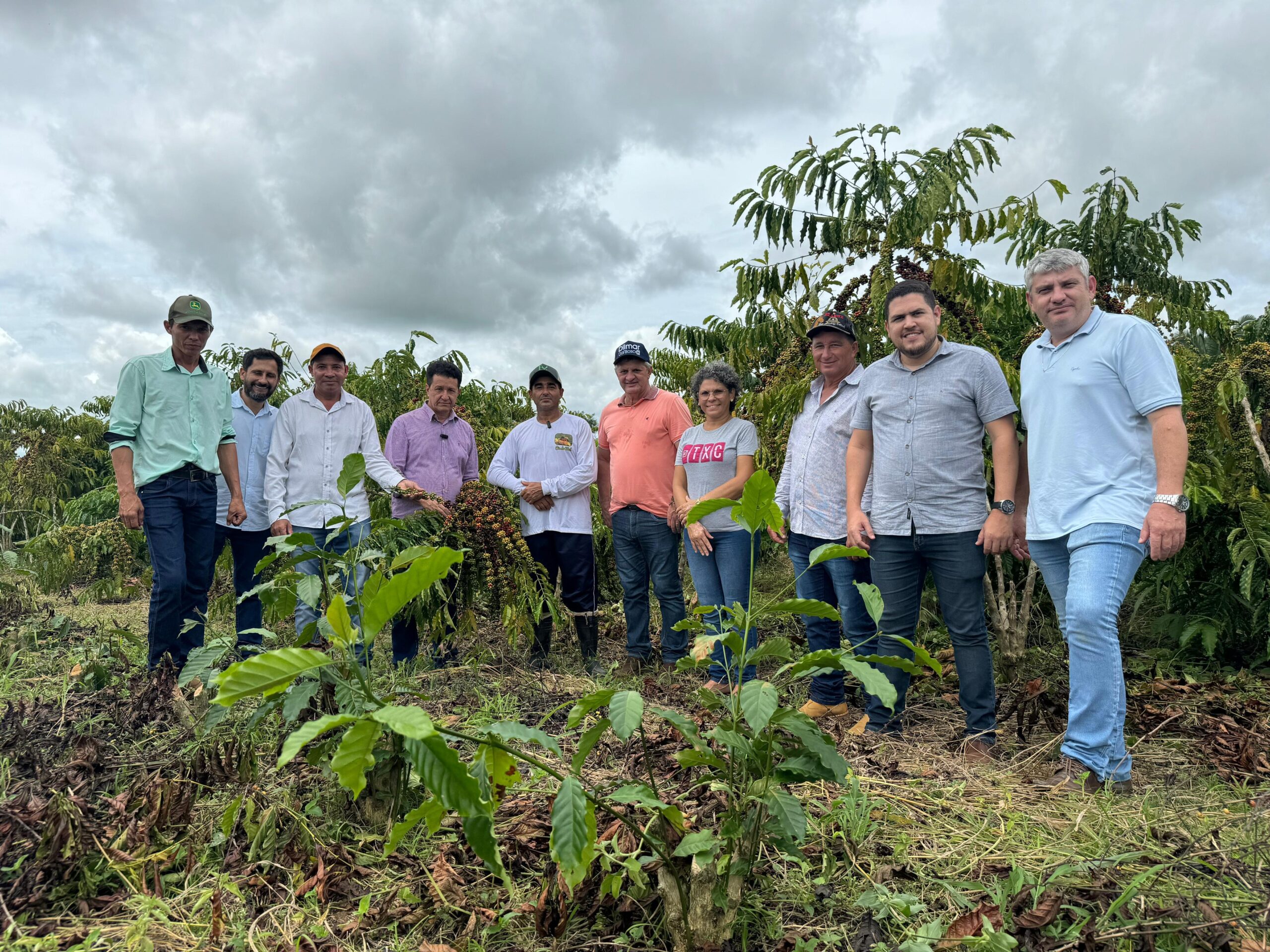 Acafemat entra com tecnologia e desenvolvimento para impulsionar a cadeia do café em Mato Grosso