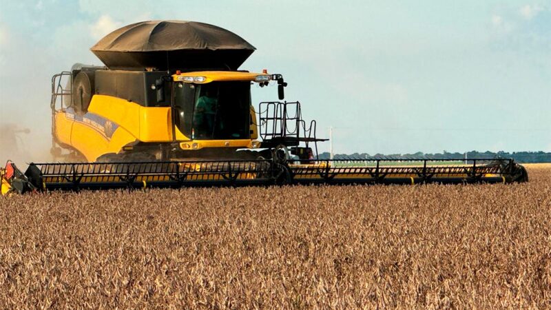 Com fim da colheita produtividade de soja em Mato Grosso fica em 52 sacas/hectare, diz IMEA