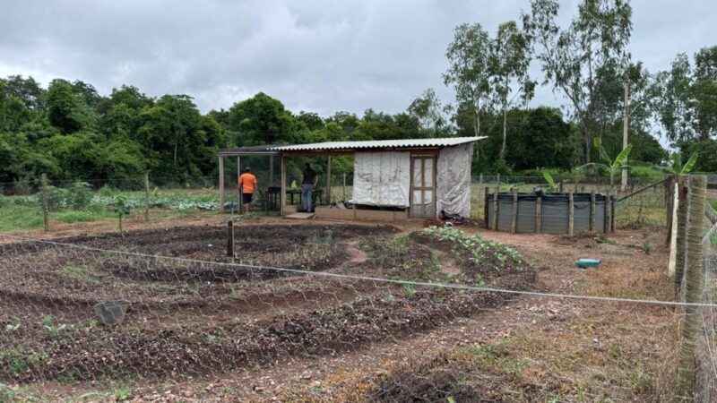 Governo de MT implanta projeto de cultivo com técnica de mandala para melhorar produtividade em pequenas áreas