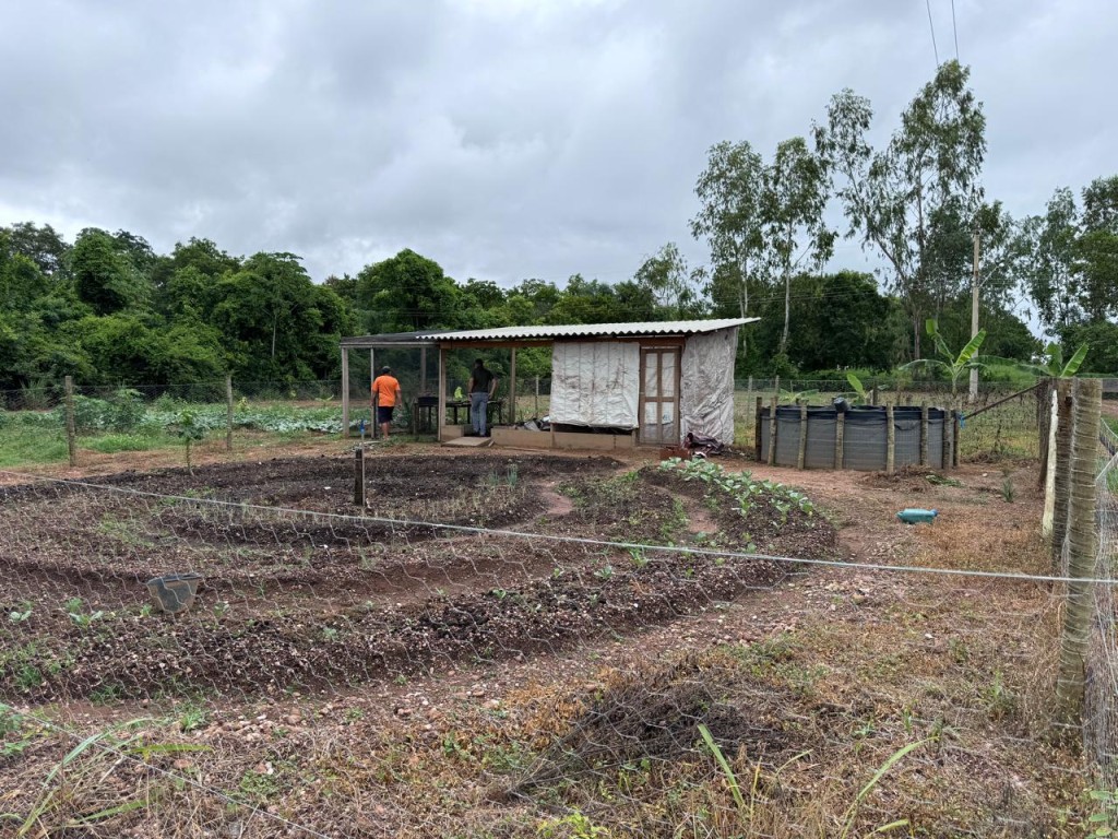Governo de MT implanta projeto de cultivo com técnica de mandala para melhorar produtividade em pequenas áreas
