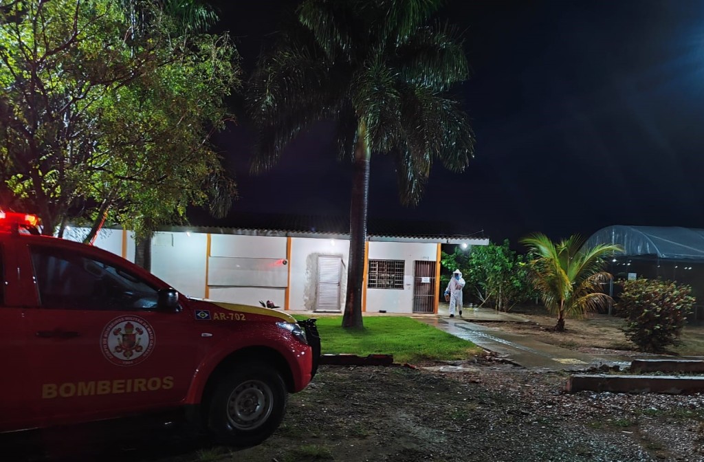 Corpo de Bombeiros Militar realiza remoção de enxame de abelhas de universidade