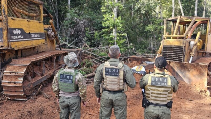 Polícia Civil realiza operação de fiscalização ambiental em propriedades em Feliz Natal e Vera