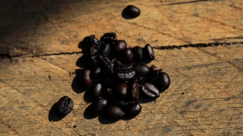 Público poderá degustar e adquirir 19 cafés produzidos em MT durante a FIT Pantanal