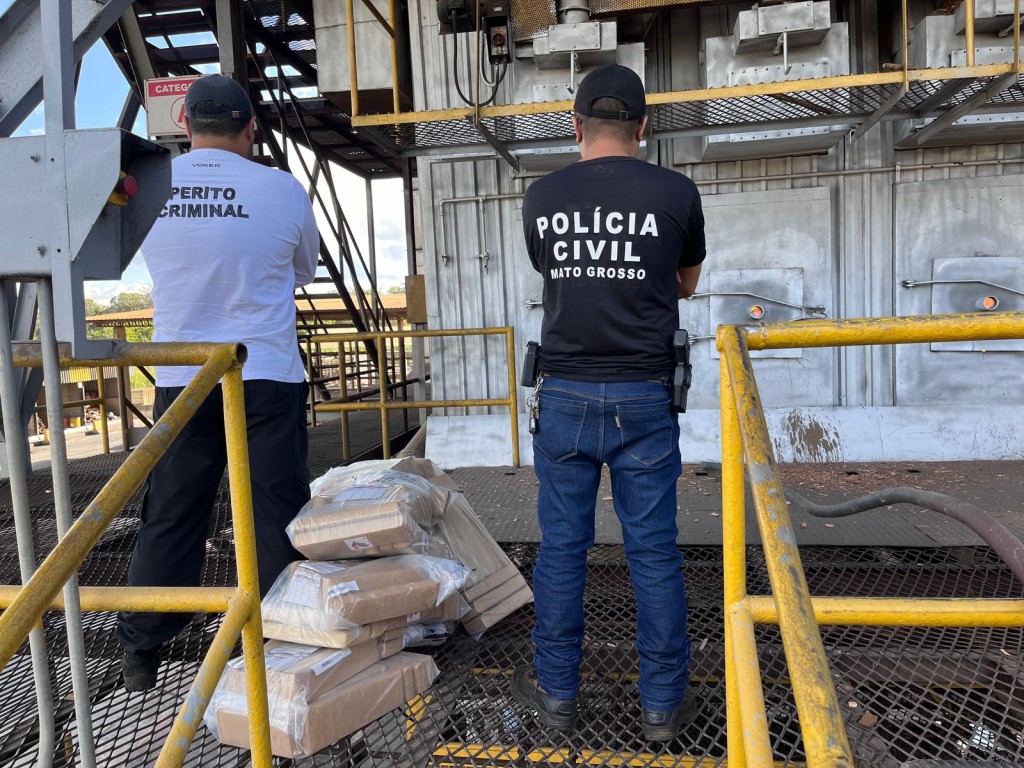 Polícia Civil incinera cerca de 120 quilos de maconha em Alto Araguaia
