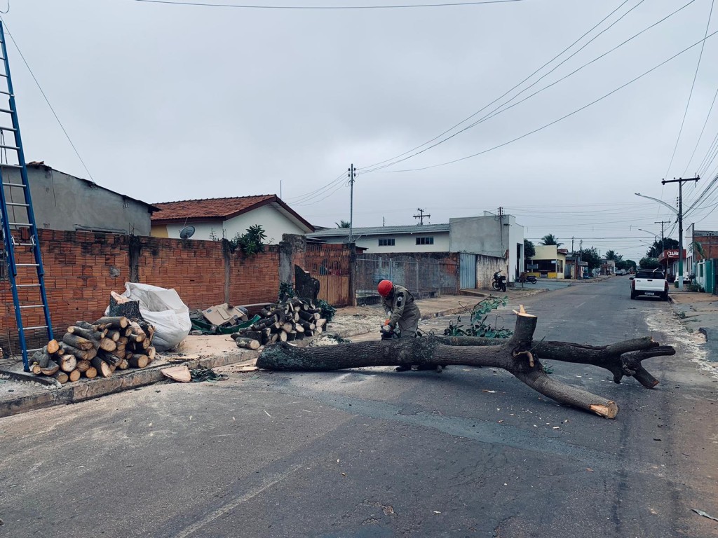 Corpo de Bombeiros Militar realiza corte preventivo de árvore que tinha risco de queda iminente