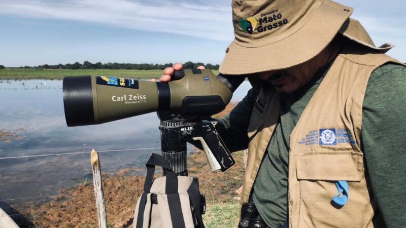 Mapeamento de aves em terras indígenas vai fomentar etnoturismo em MT
