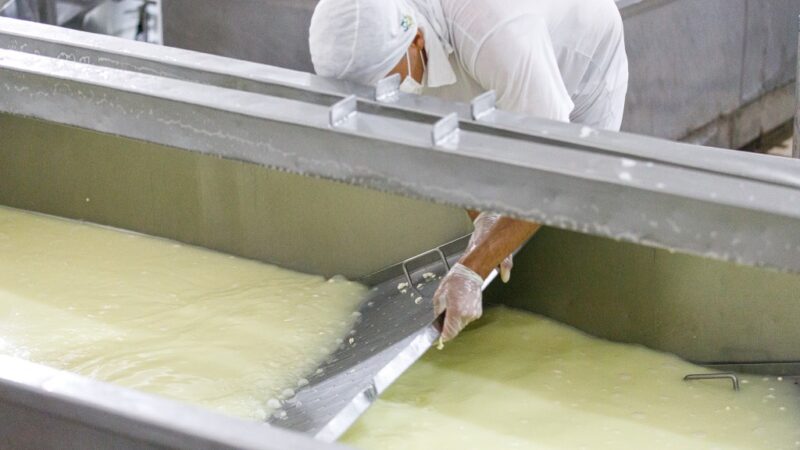 Governo regulamenta normas para manipulação e beneficiamento de produtos da agroindústria familiar em MT