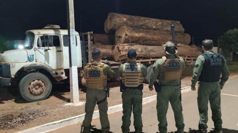 Polícia Civil apreende caminhão com madeira ilegal e indicia três por crime contra o meio ambiente