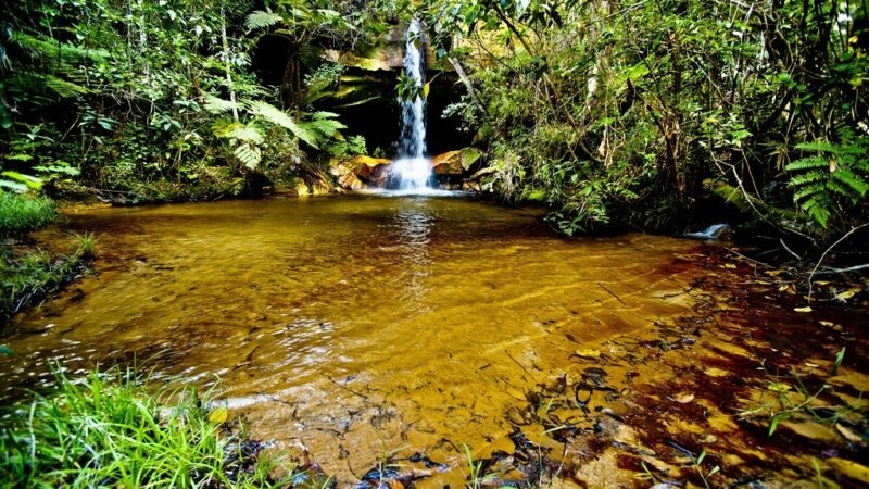 Pesquisadores desenvolvem aplicativo para mapear nascentes do Cerrado com apoio do Governo de MT