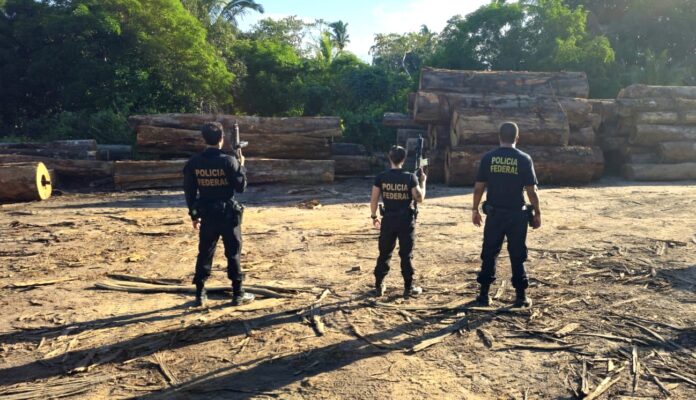 PF faz operação contra desmatamento em Mato Grosso e sequestra R$ 1,2 milhão
