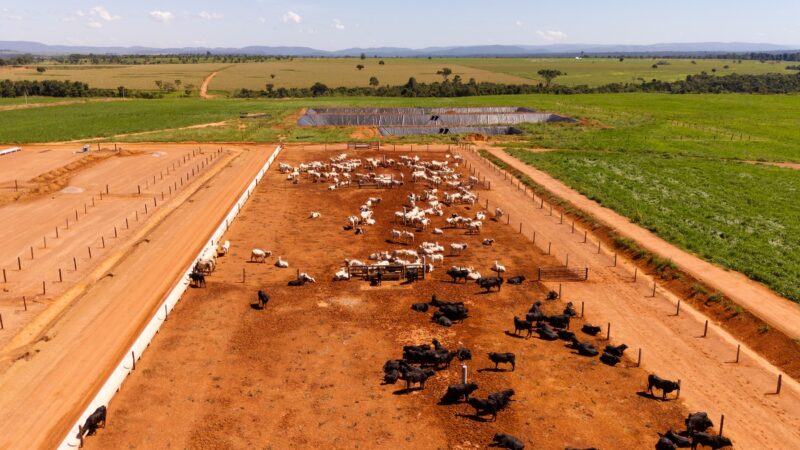 Conheça a fazenda que apostou na inovação para multiplicar por 10 a sua produtividade