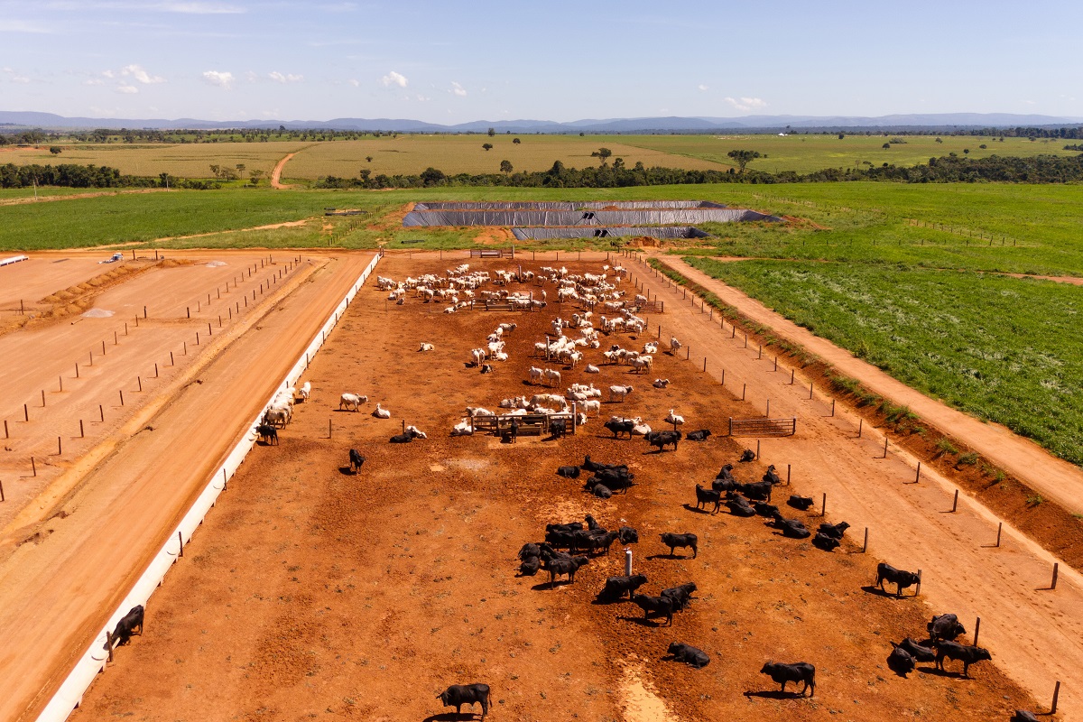 Conheça a fazenda que apostou na inovação para multiplicar por 10 a sua produtividade