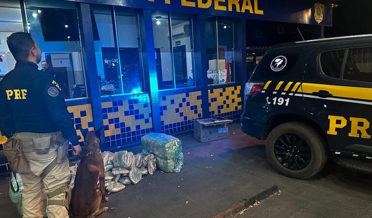 K9: Apreensão de 110 quilos de Skunk em ônibus interestadual