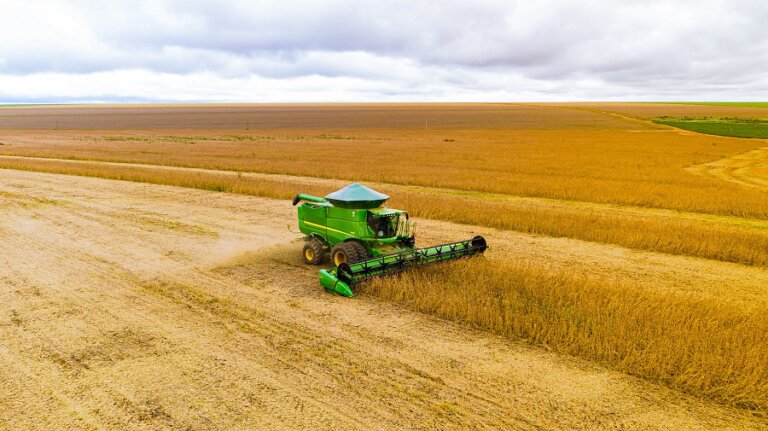 Mato Grosso se mantém como maior produtor de grãos do país em 2024