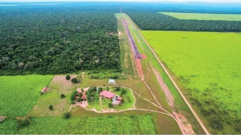 Mais de 60 mil hectares da “Boi Gordo” vai à leilão por R$88 milhões