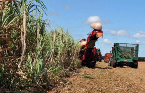 Foto: Arquivo/Agência Brasil