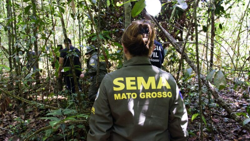 Governo de MT já aplicou R$ 303 milhões em multas por crimes ambientais em 2024