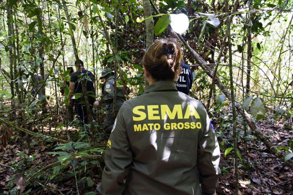 Governo de MT já aplicou R$ 303 milhões em multas por crimes ambientais em 2024