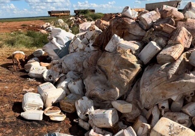 Gerente de fazenda em Bom Jesus do Araguaia é preso por crime ambiental