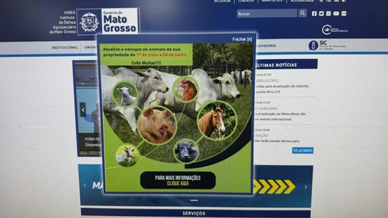 Prazo para produtores de MT informarem ao Indea estoque de rebanho termina no dia 4 de junho