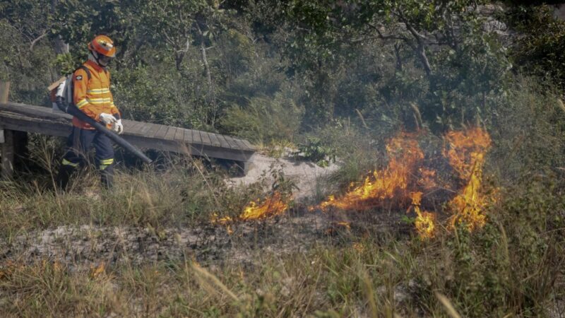 Bombeiros fazem ação preventiva para criar “área de escape” e conter incêndios florestais