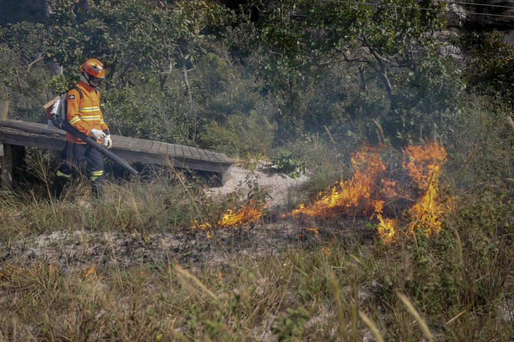 Bombeiros fazem ação preventiva para criar “área de escape” e conter incêndios florestais
