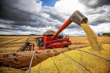 Brasil colherá 297,5 milhões de toneladas de grãos, segundo levantamento da Conab
