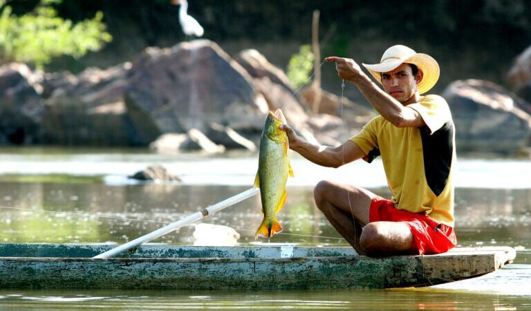 STF define prazo para PGR se posicionar sobre lei que proíbe a pesca