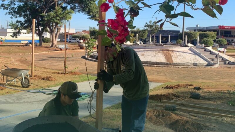 CIDADE MAIS BELA – SECRETARIA DE AGRICULTURA E CULTURA TRABALHAM JUNTAS NO PLANTIO DE FLORES E PLANTAS EM MATUPÁ
