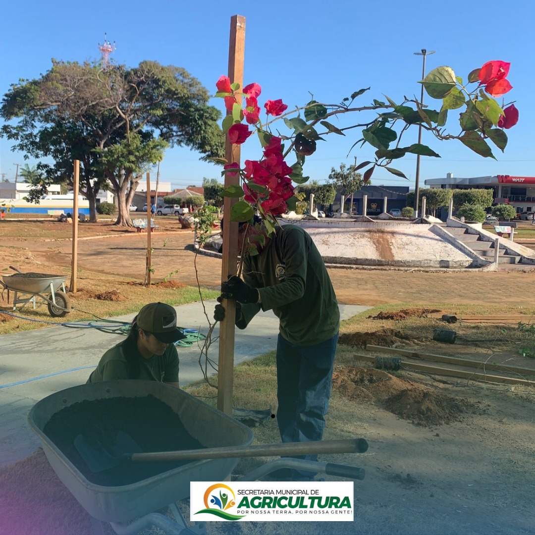 CIDADE MAIS BELA – SECRETARIA DE AGRICULTURA E CULTURA TRABALHAM JUNTAS NO PLANTIO DE FLORES E PLANTAS EM MATUPÁ