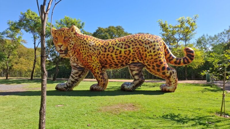 Viradinha Sustentável nos Parques Mãe Bonifácia, Massairo Okamura e Zé Bolo Flô começa nesta quarta-feira (05)