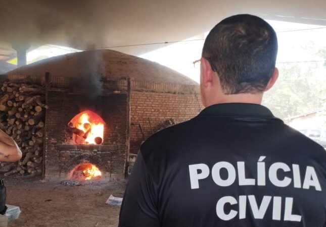 Polícia Civil incinera quase 150 quilos de cloridrato de cocaína em Barra do Garças