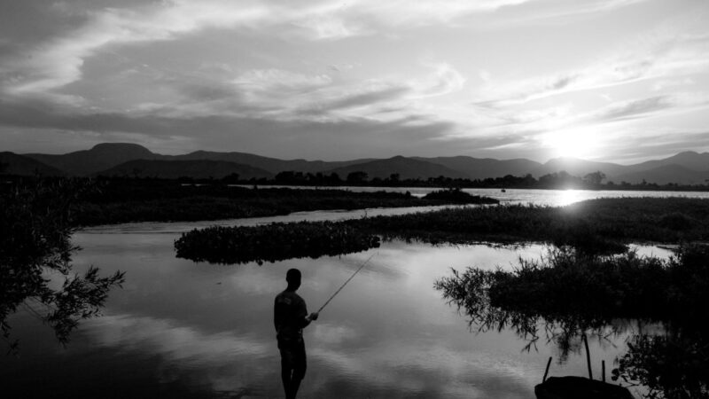 Exposição fotográfica sobre o Pantanal fica em cartaz até 30 de junho em Cuiabá