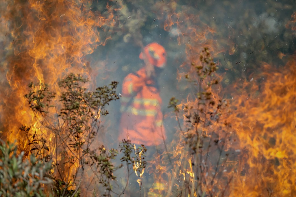 Governo de MT pede apoio da população e alerta sobre seca severa no Pantanal; saiba tudo que já foi feito