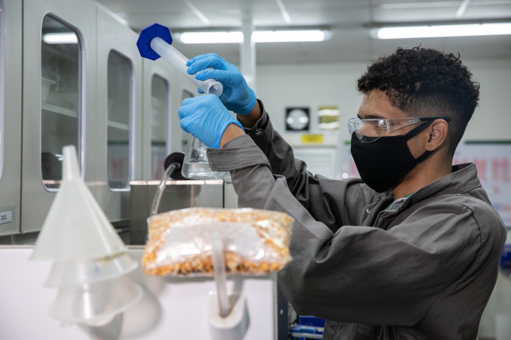 Pesquisa explora potencial dos coprodutos do etanol de milho para alimentação animal em MT