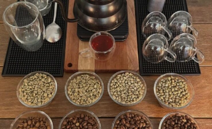 Produtores de café recebem apoio do Governo de MT para análise profissional e melhoria da qualidade dos grãos