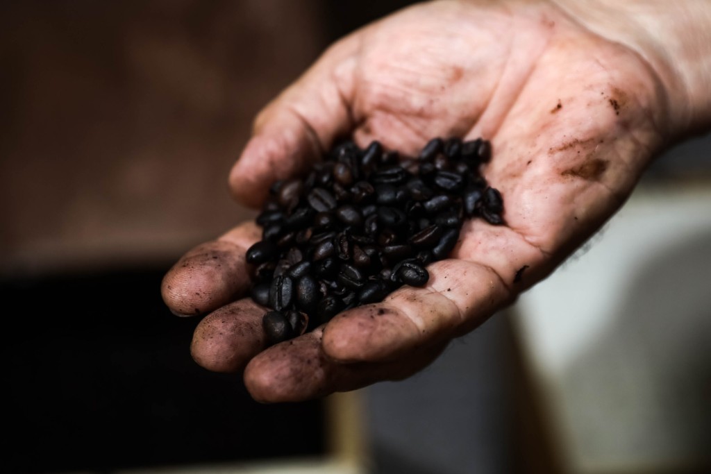 Com apoio do Governo, MT tem primeiro café produzido só por mulheres na Amazônia