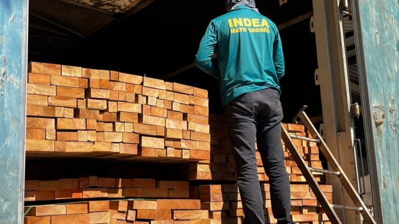 Indea emite 10,5 mil certificados de identificação de madeira; medida auxilia no combate ao desmatamento ilegal