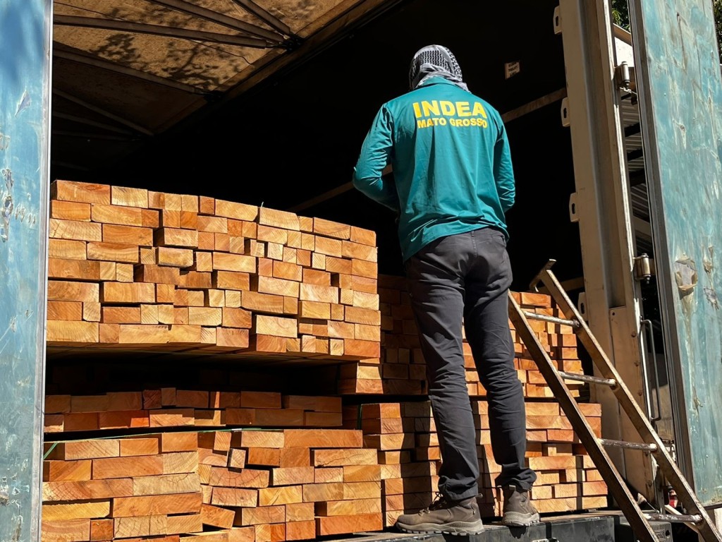 Indea emite 10,5 mil certificados de identificação de madeira; medida auxilia no combate ao desmatamento ilegal
