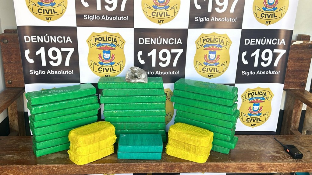 Polícia Civil apreende maconha, pasta base e cocaína que eram transportadas em veículo na BR-364